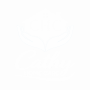 Cathy Homecare